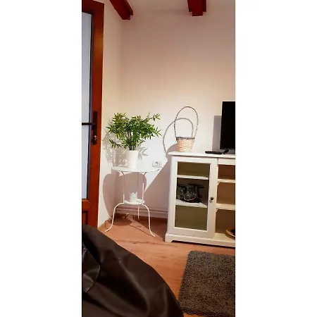 Vaso Apartment Sinaia