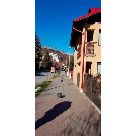 Vaso Apartment Sinaia